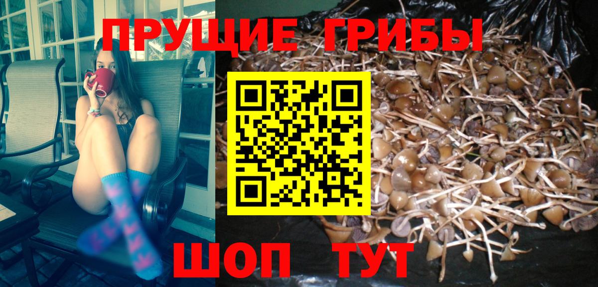 Галлюциногенные грибы MAGIC MUSHROOMS Избербаш